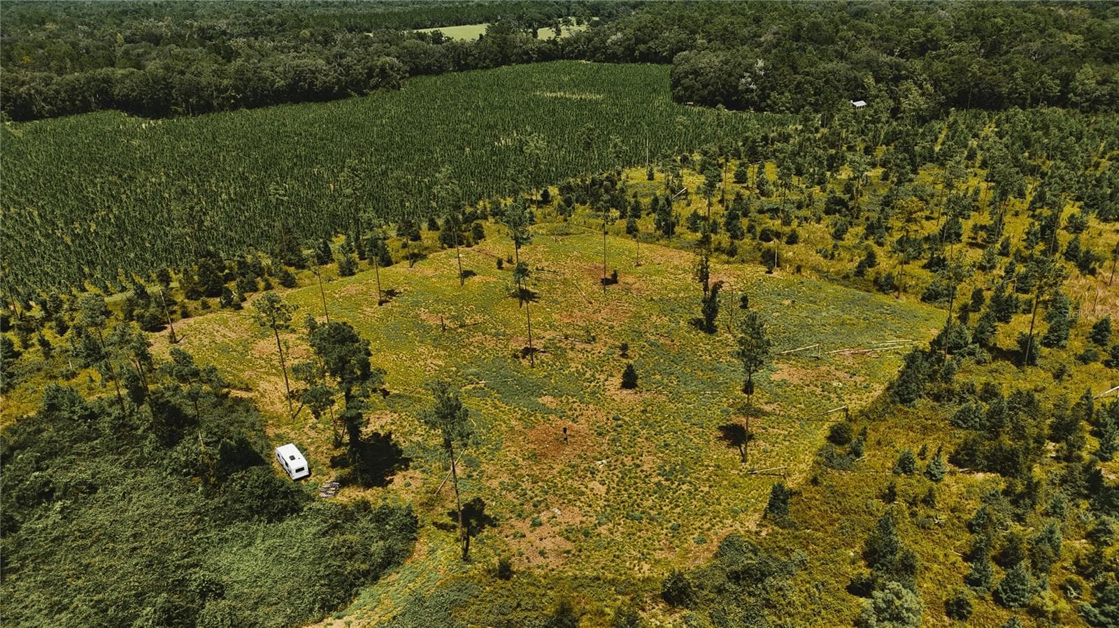 Land at 00 99TH LN, LIVE OAK, photo 4 of 52