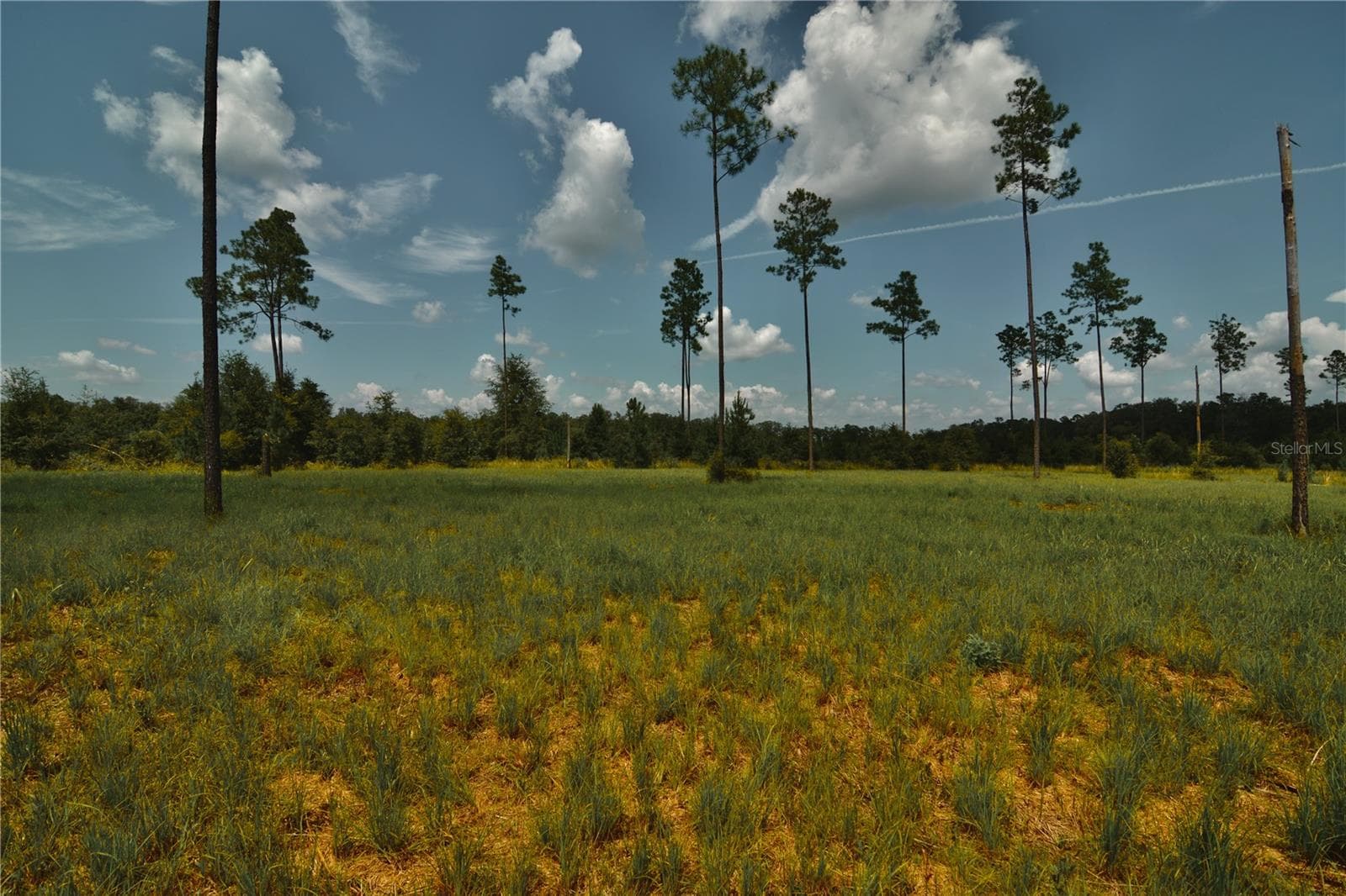 Land at 00 99TH LN, LIVE OAK, photo 5 of 52