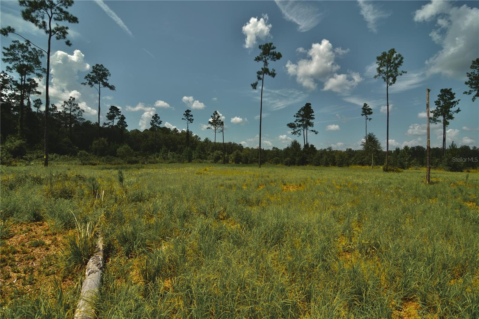 Land at 00 99TH LN, LIVE OAK, photo 6 of 52