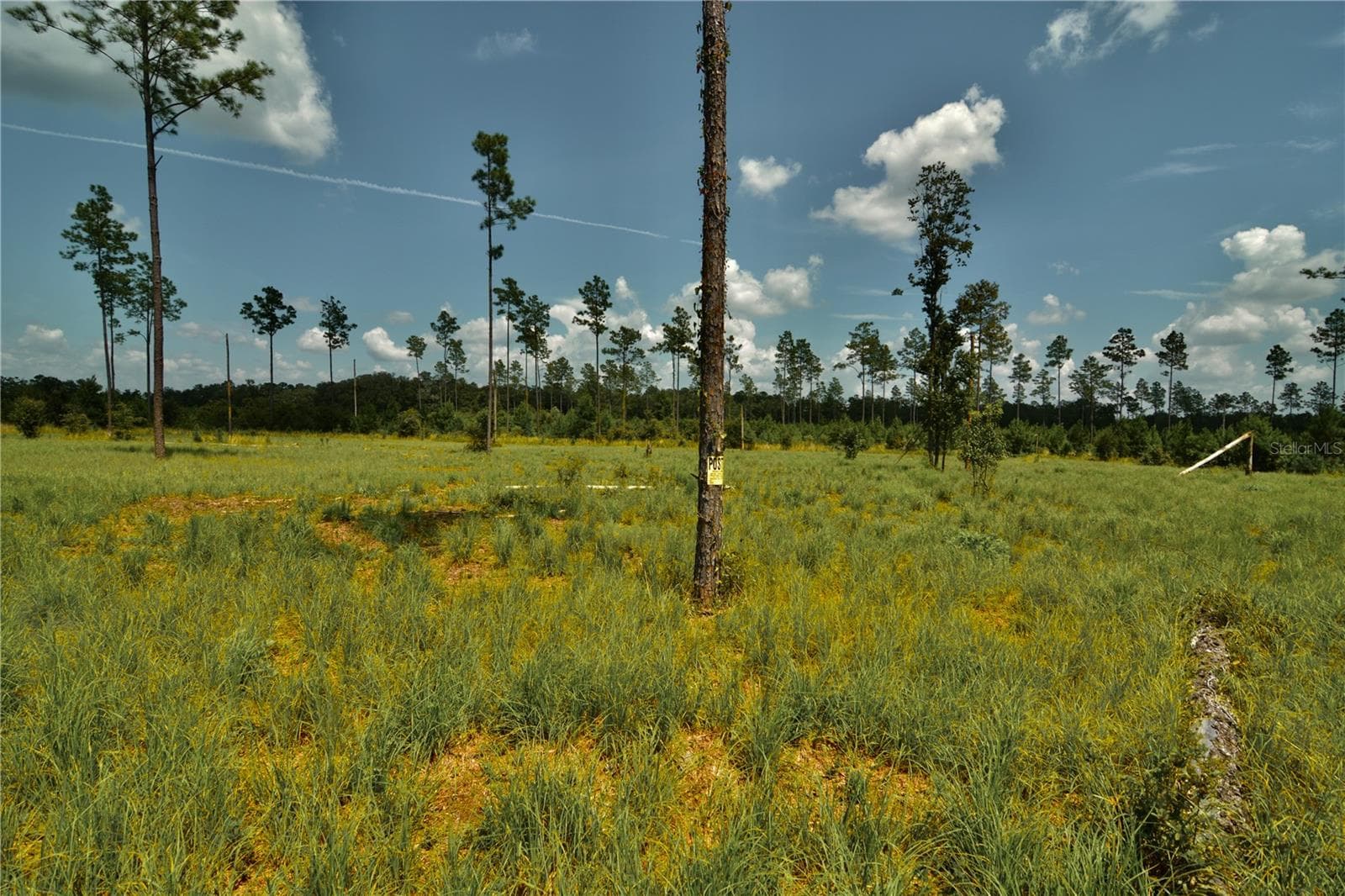 Land at 00 99TH LN, LIVE OAK, photo 9 of 52