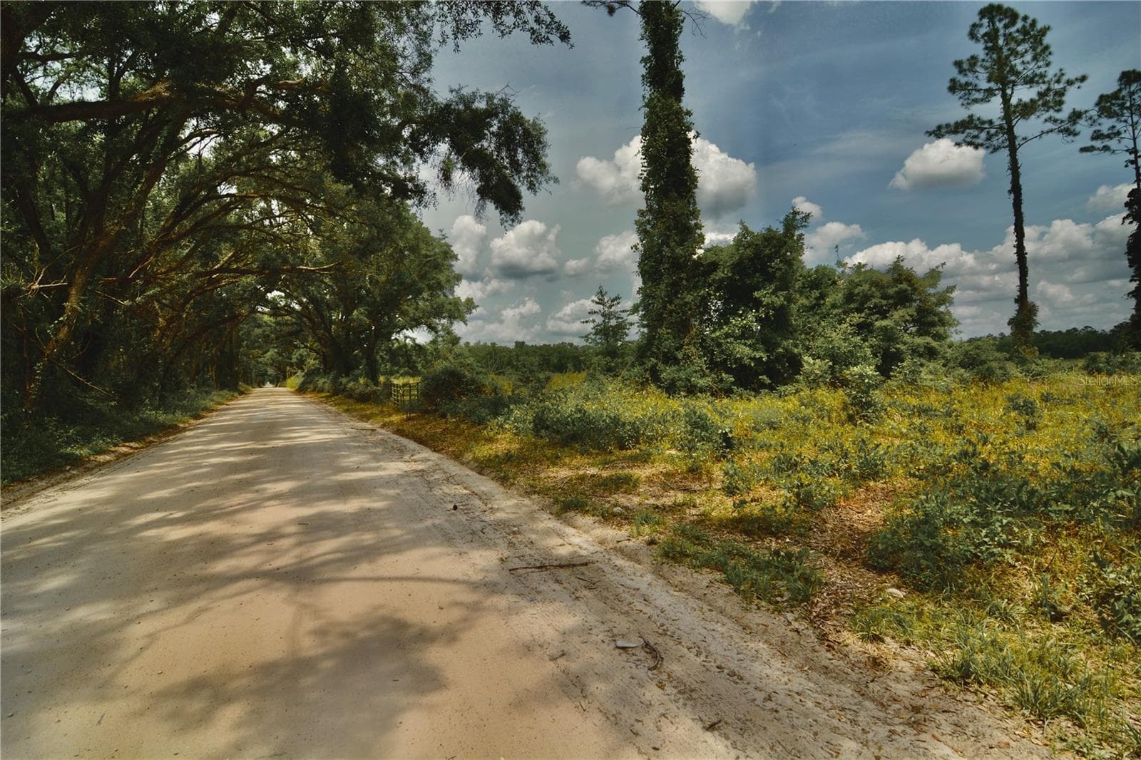 Land at 00 99TH LN, LIVE OAK, photo 10 of 52