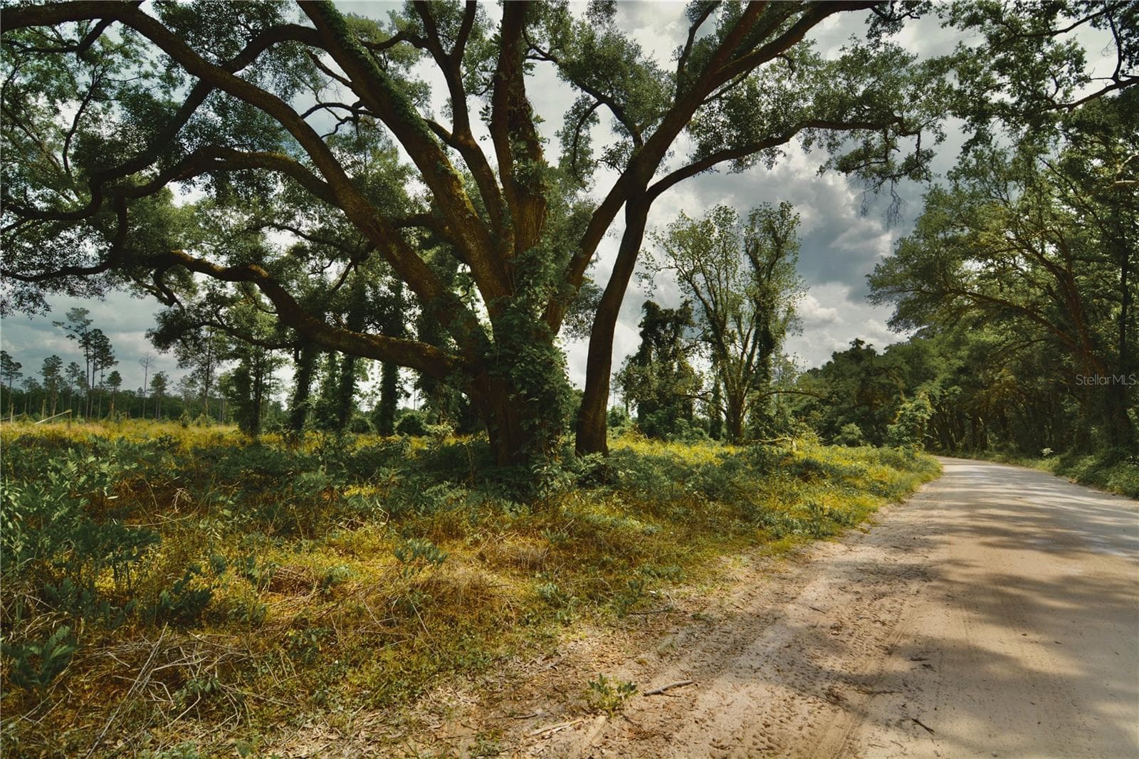 Land at 00 99TH LN, LIVE OAK, photo 11 of 52