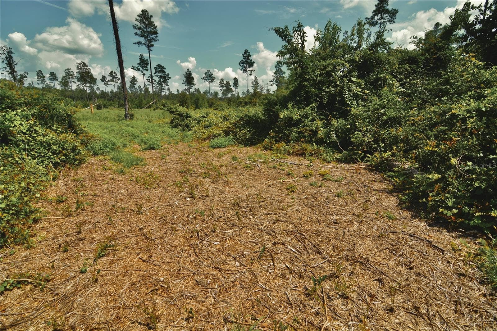 Land at 00 99TH LN, LIVE OAK, photo 14 of 52