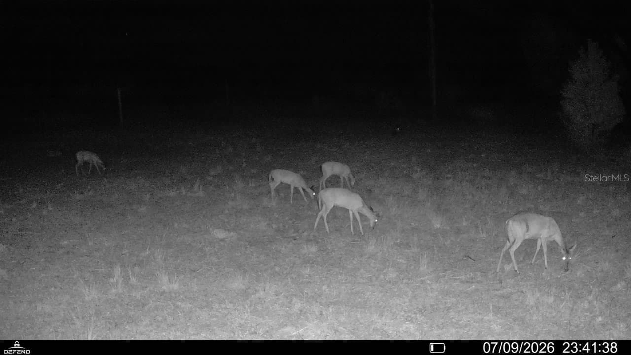 Land at 00 99TH LN, LIVE OAK, photo 18 of 52