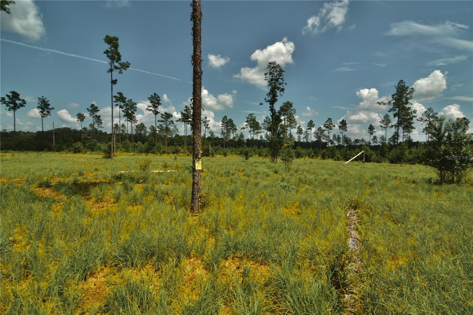 Land at 00 99TH LN, LIVE OAK, photo 19 of 52