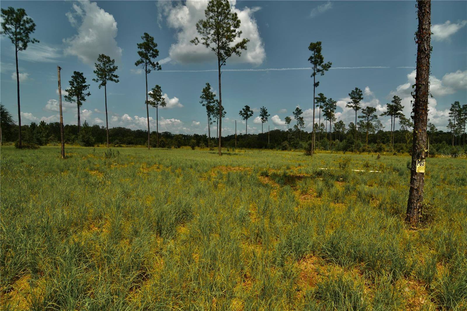 Land at 00 99TH LN, LIVE OAK, photo 20 of 52