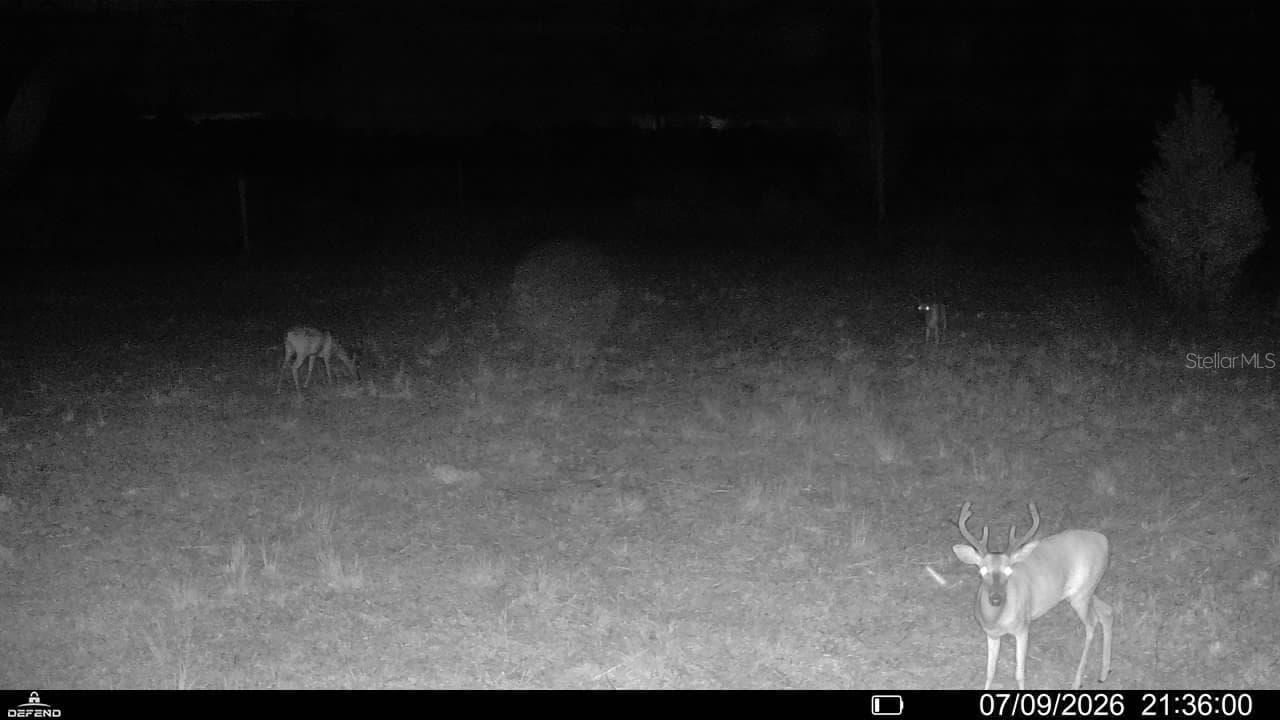 Land at 00 99TH LN, LIVE OAK, photo 21 of 52