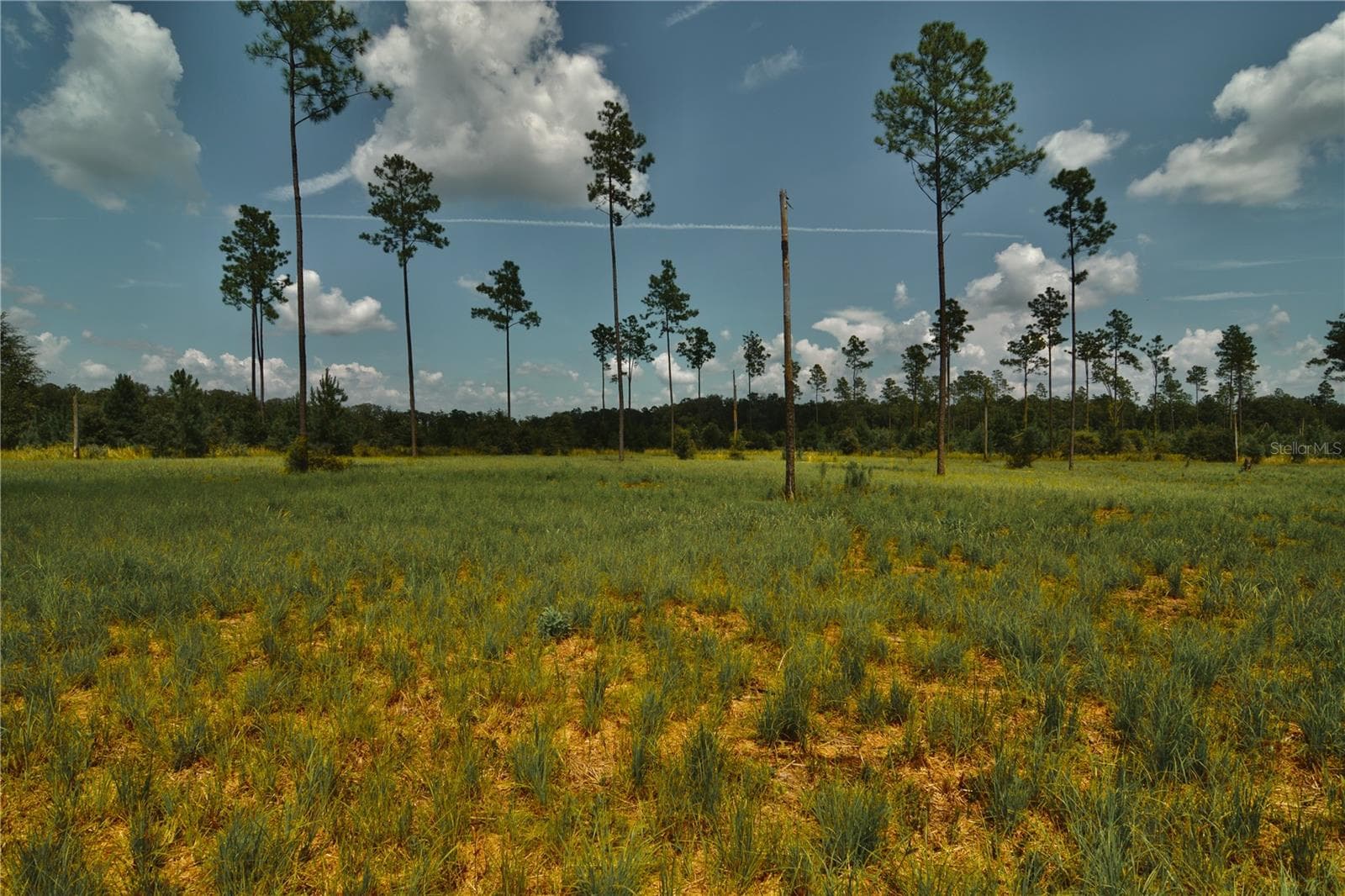 Land at 00 99TH LN, LIVE OAK, photo 23 of 52