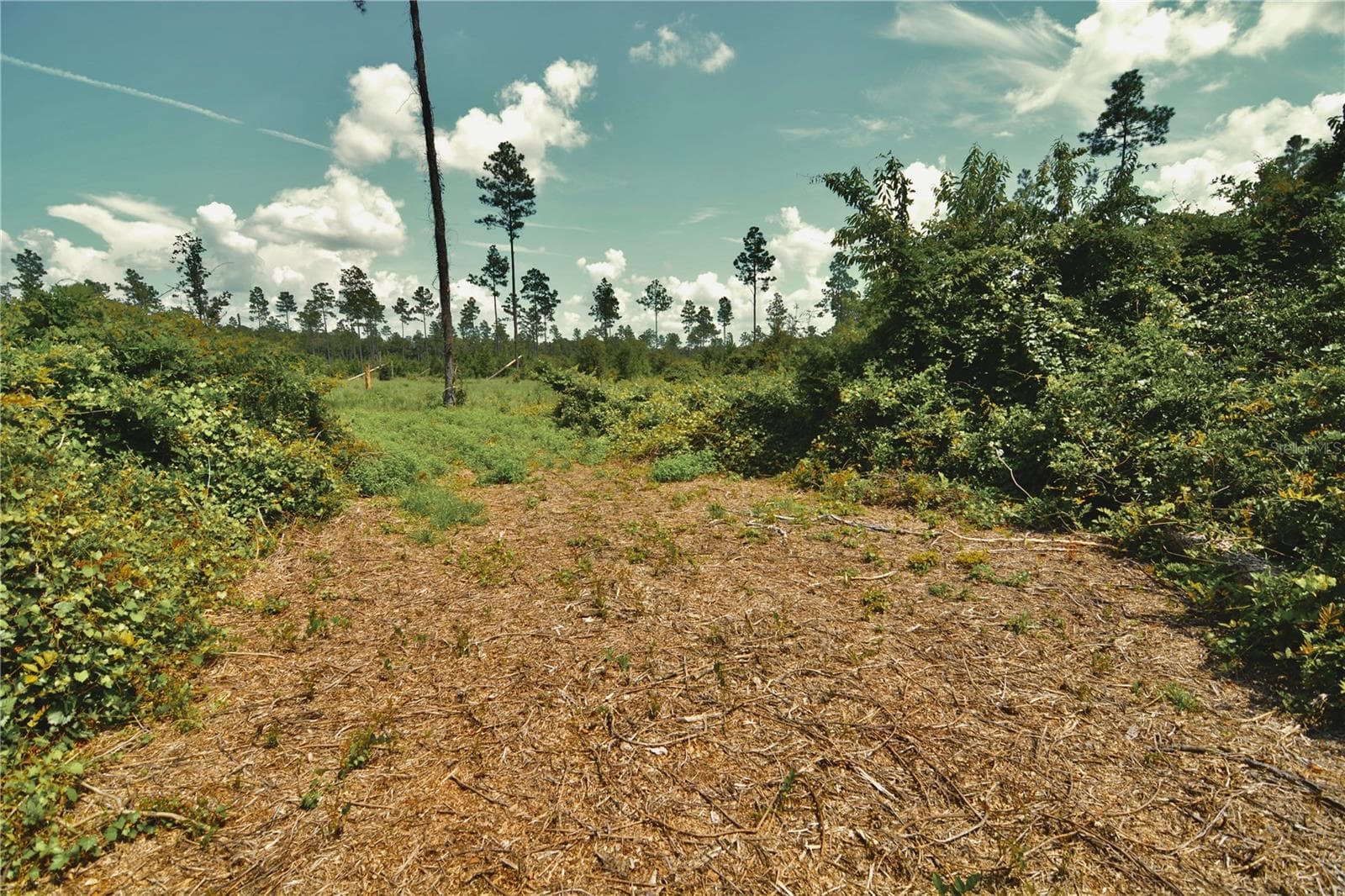 Land at 00 99TH LN, LIVE OAK, photo 25 of 52