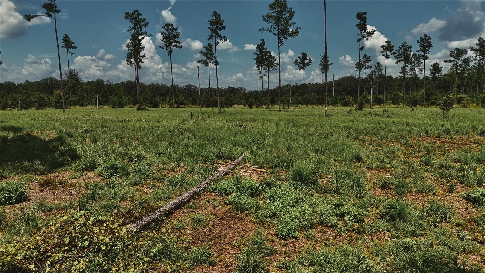 Land at 00 99TH LN, LIVE OAK, photo 27 of 52