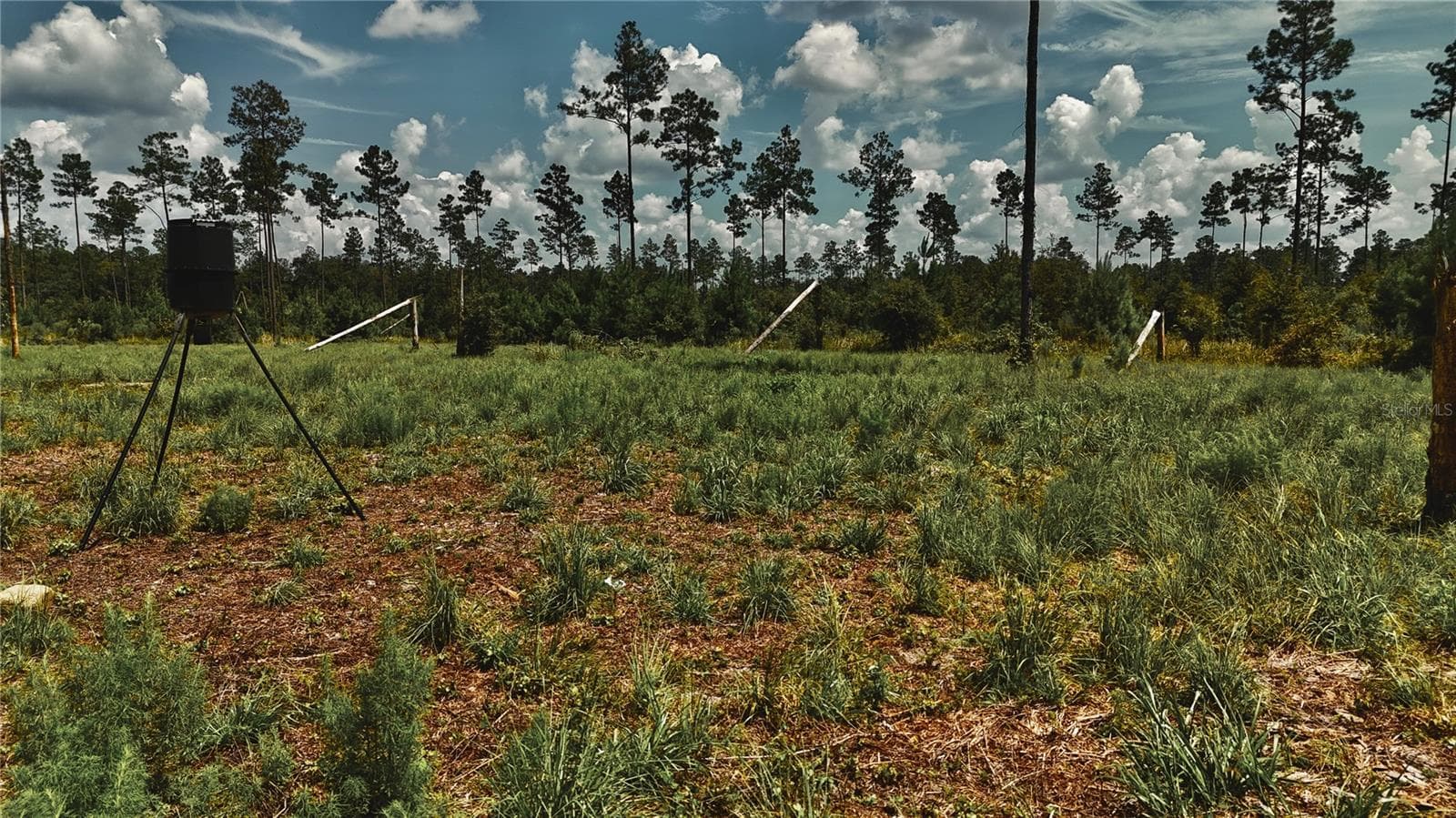 Land at 00 99TH LN, LIVE OAK, photo 29 of 52