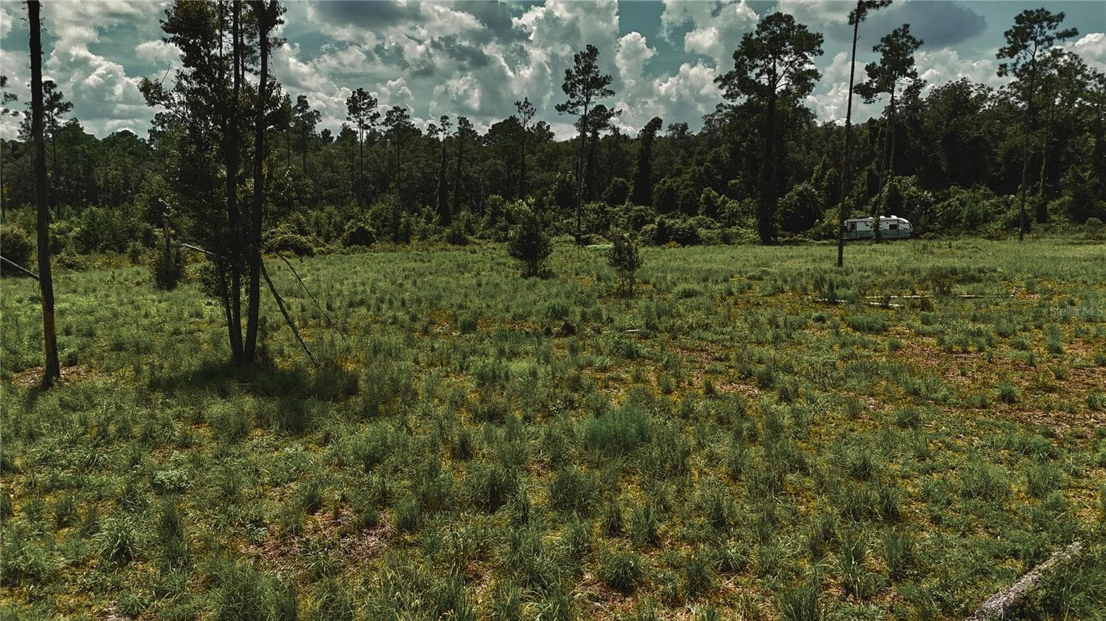 Land at 00 99TH LN, LIVE OAK, photo 30 of 52