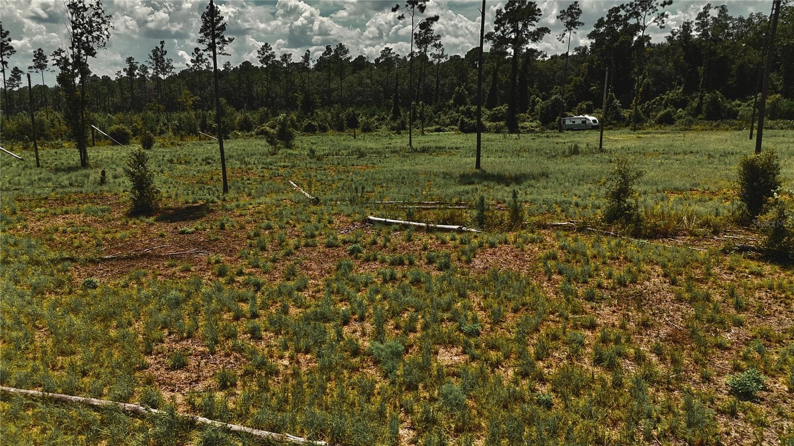 Land at 00 99TH LN, LIVE OAK, photo 31 of 52