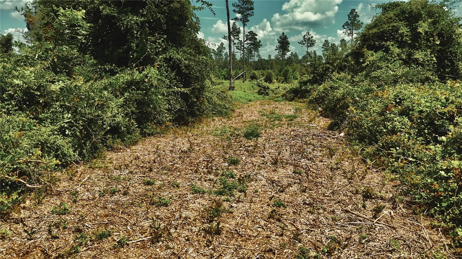 Land at 00 99TH LN, LIVE OAK, photo 32 of 52
