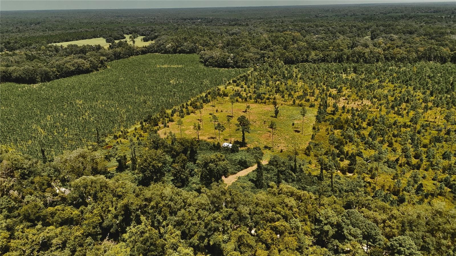 Land at 00 99TH LN, LIVE OAK, photo 33 of 52