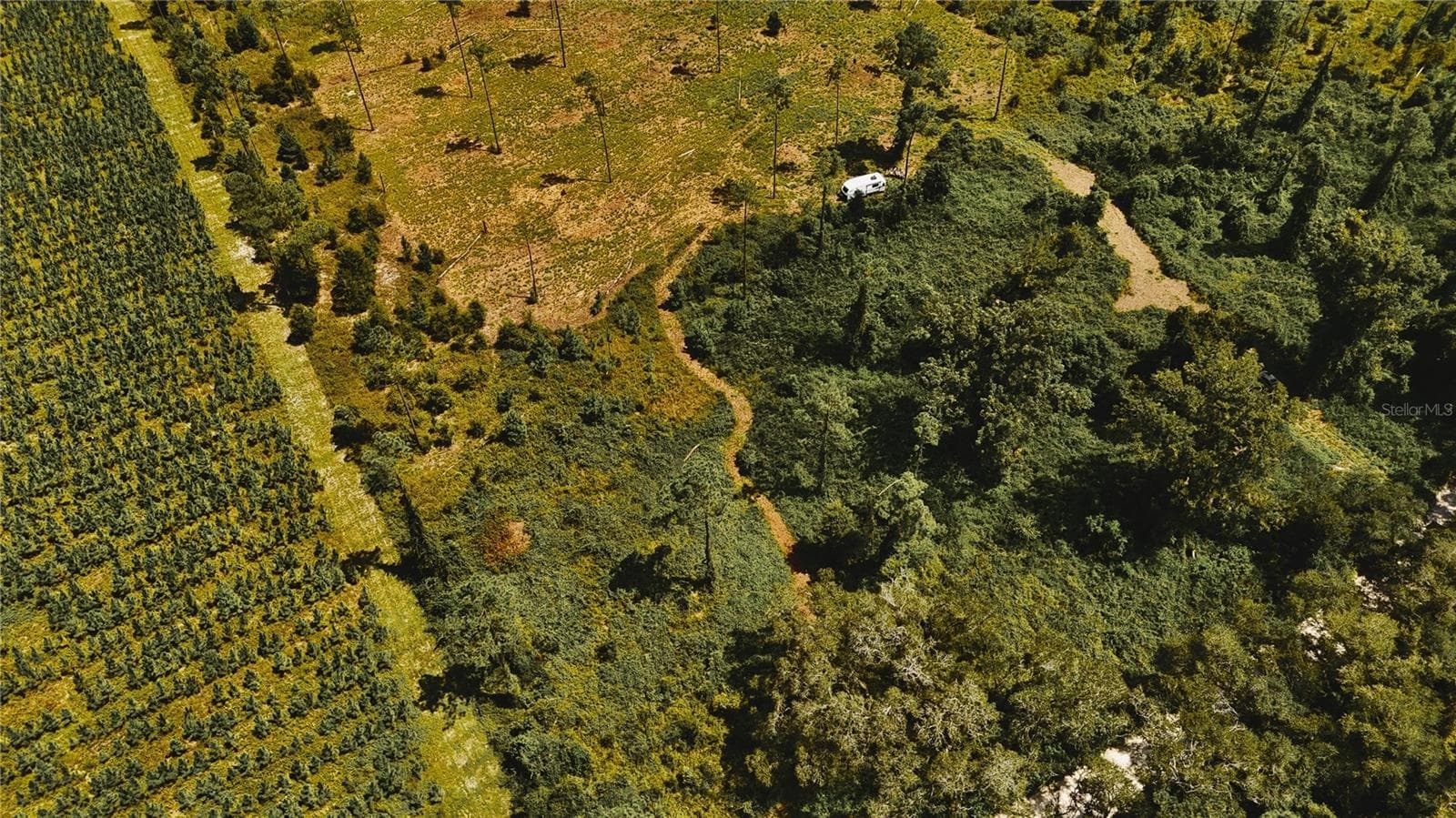 Land at 00 99TH LN, LIVE OAK, photo 34 of 52