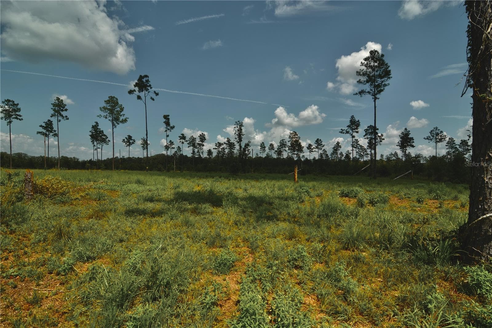 Land at 00 99TH LN, LIVE OAK, photo 38 of 52