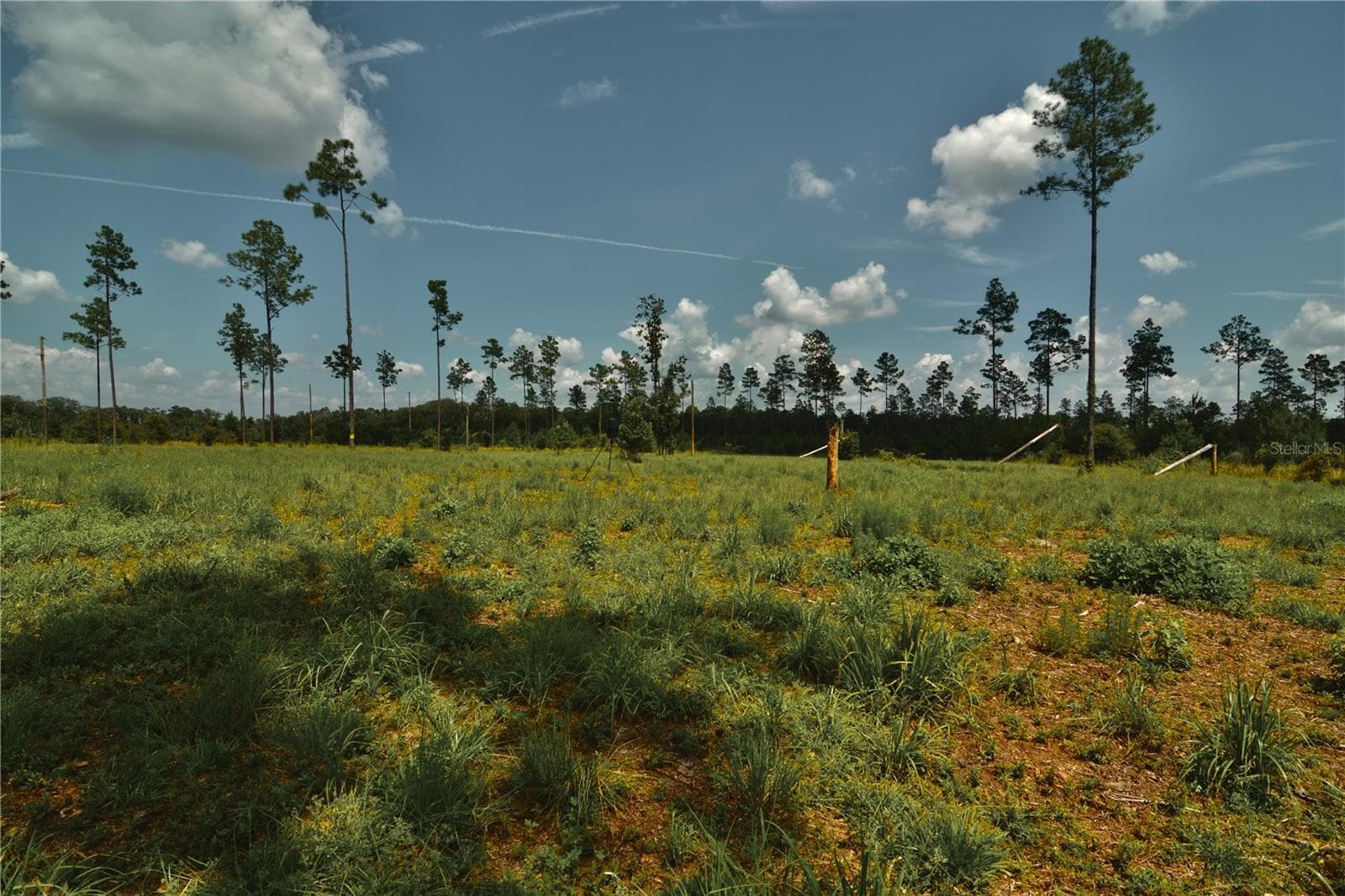 Land at 00 99TH LN, LIVE OAK, photo 41 of 52