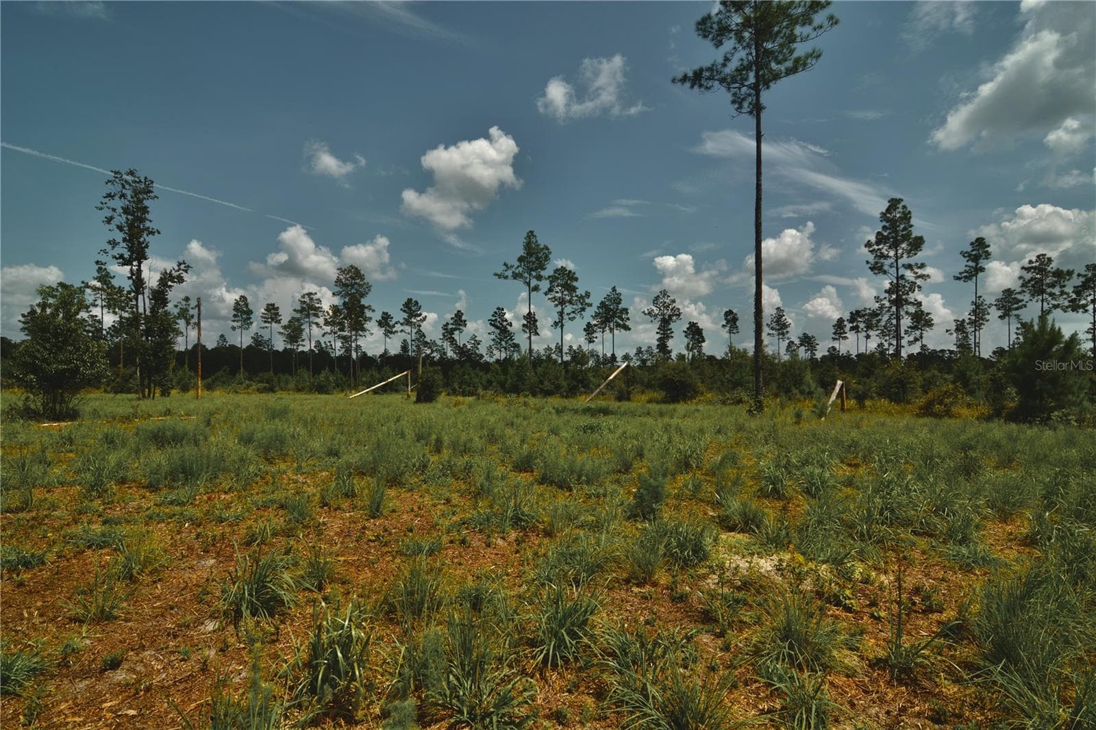 Land at 00 99TH LN, LIVE OAK, photo 42 of 52
