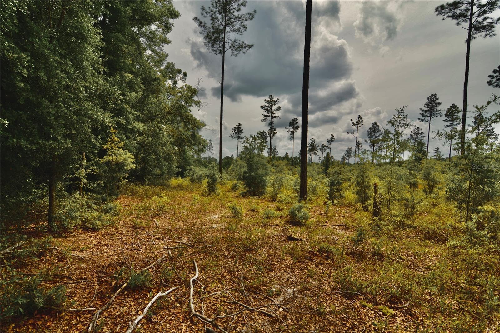 Land at 00 99TH LN, LIVE OAK, photo 44 of 52