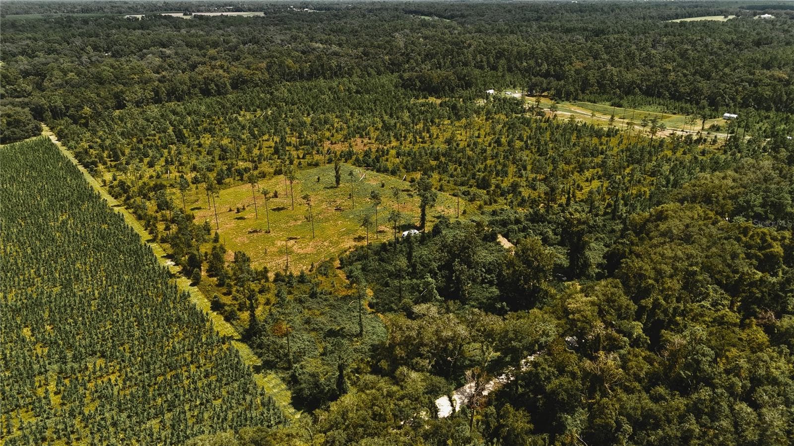 Land at 00 99TH LN, LIVE OAK, photo 46 of 52