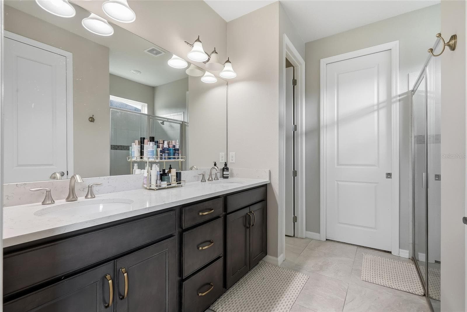 Single Family Residence at 19284 BRIARBROOK DR, TAMPA, photo 33 of 84