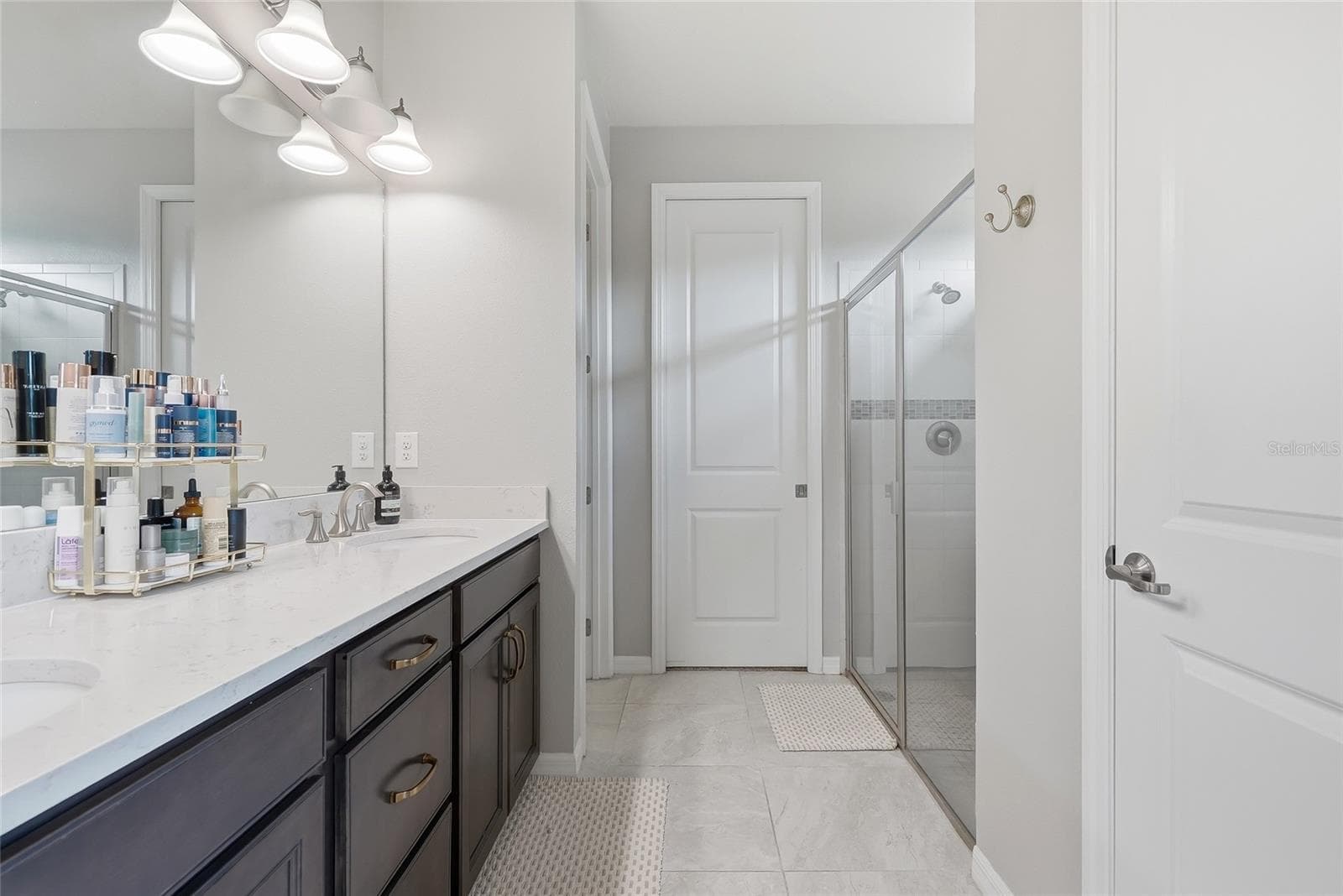 Single Family Residence at 19284 BRIARBROOK DR, TAMPA, photo 34 of 84