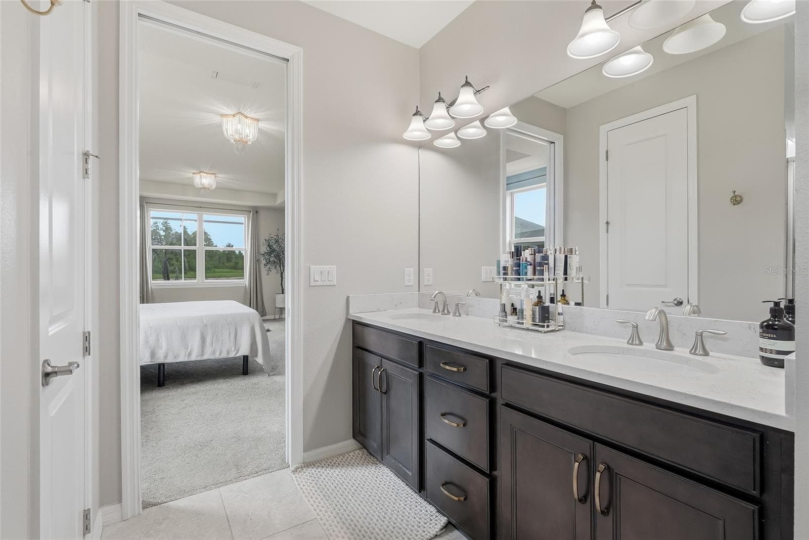 Single Family Residence at 19284 BRIARBROOK DR, TAMPA, photo 36 of 84
