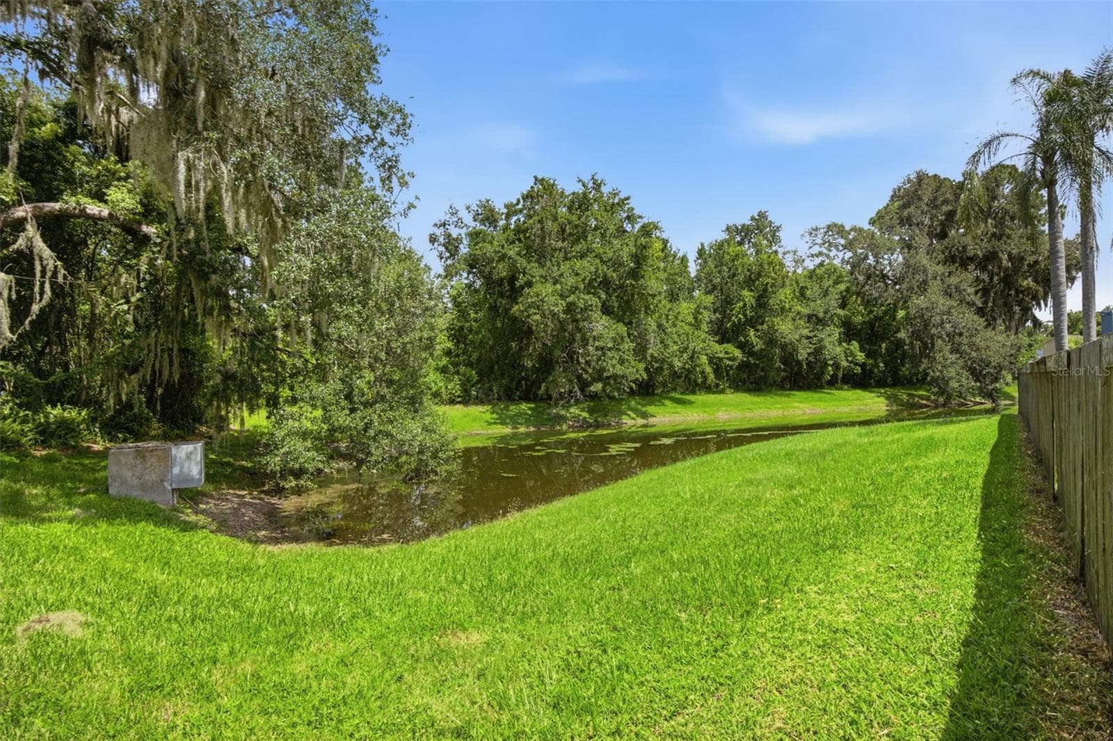 Back Pond - 28707 RALEIGH PL, WESLEY CHAPEL