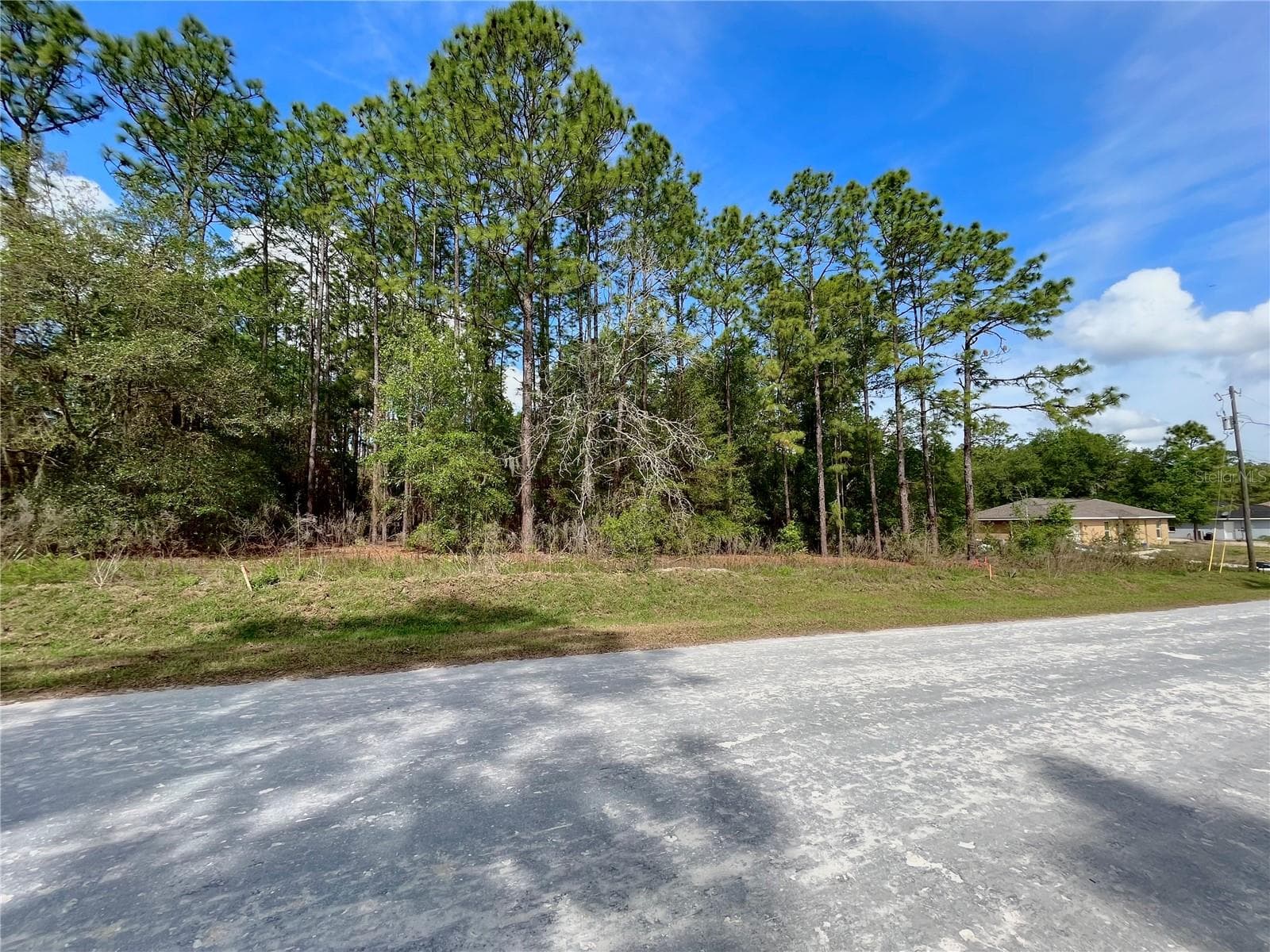 Land at 0 SW 140TH COURT, OCALA, photo 3 of 4