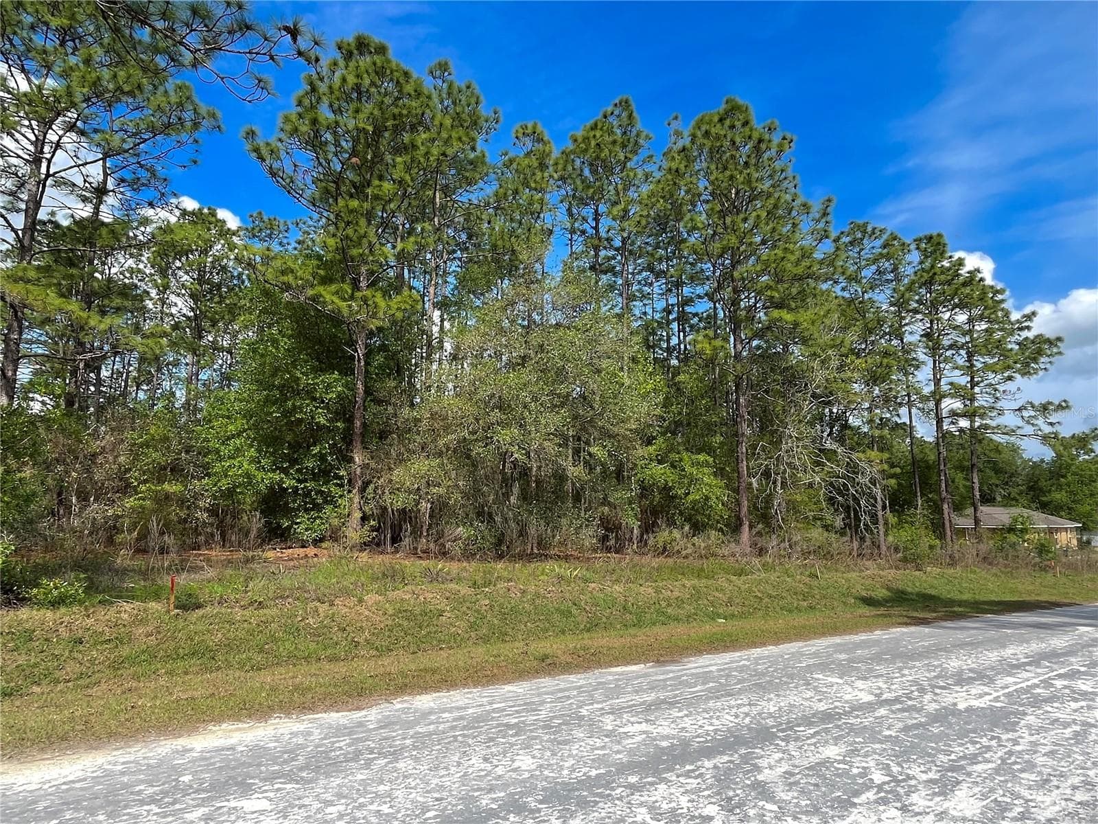 Land at 0 SW 140TH COURT, OCALA, photo 4 of 4