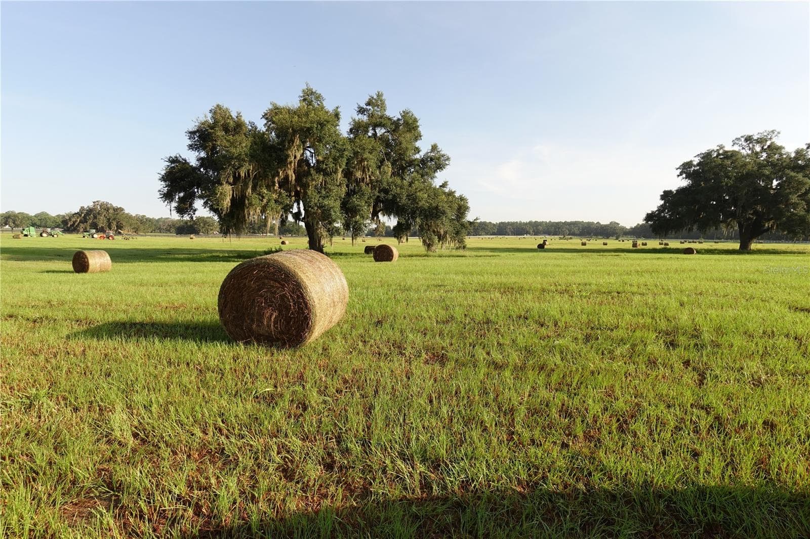 Land at 12750 W HIGHWAY 40 W, OCALA, photo 6 of 9