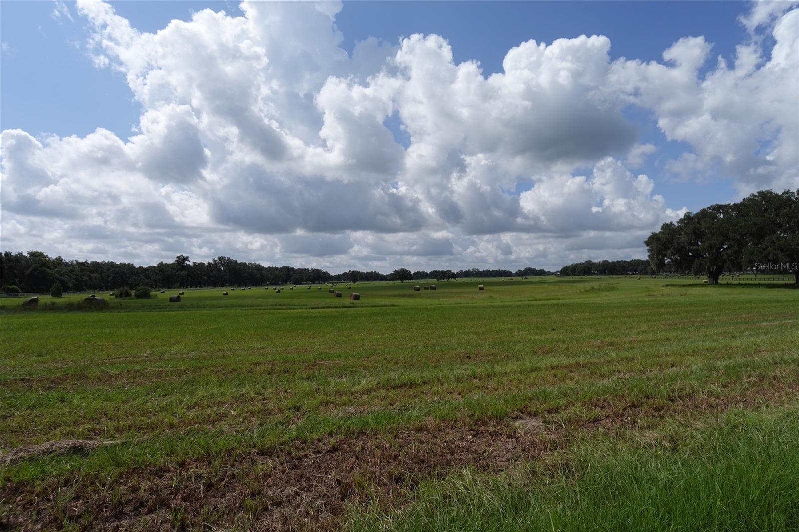 Land at 12750 W HIGHWAY 40 W, OCALA, photo 7 of 9