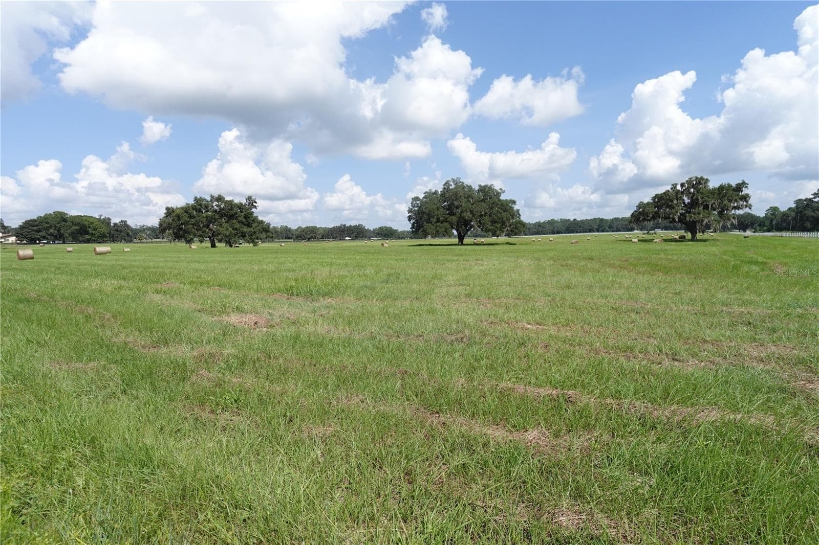 Land at 12750 W HIGHWAY 40 W, OCALA, photo 8 of 9