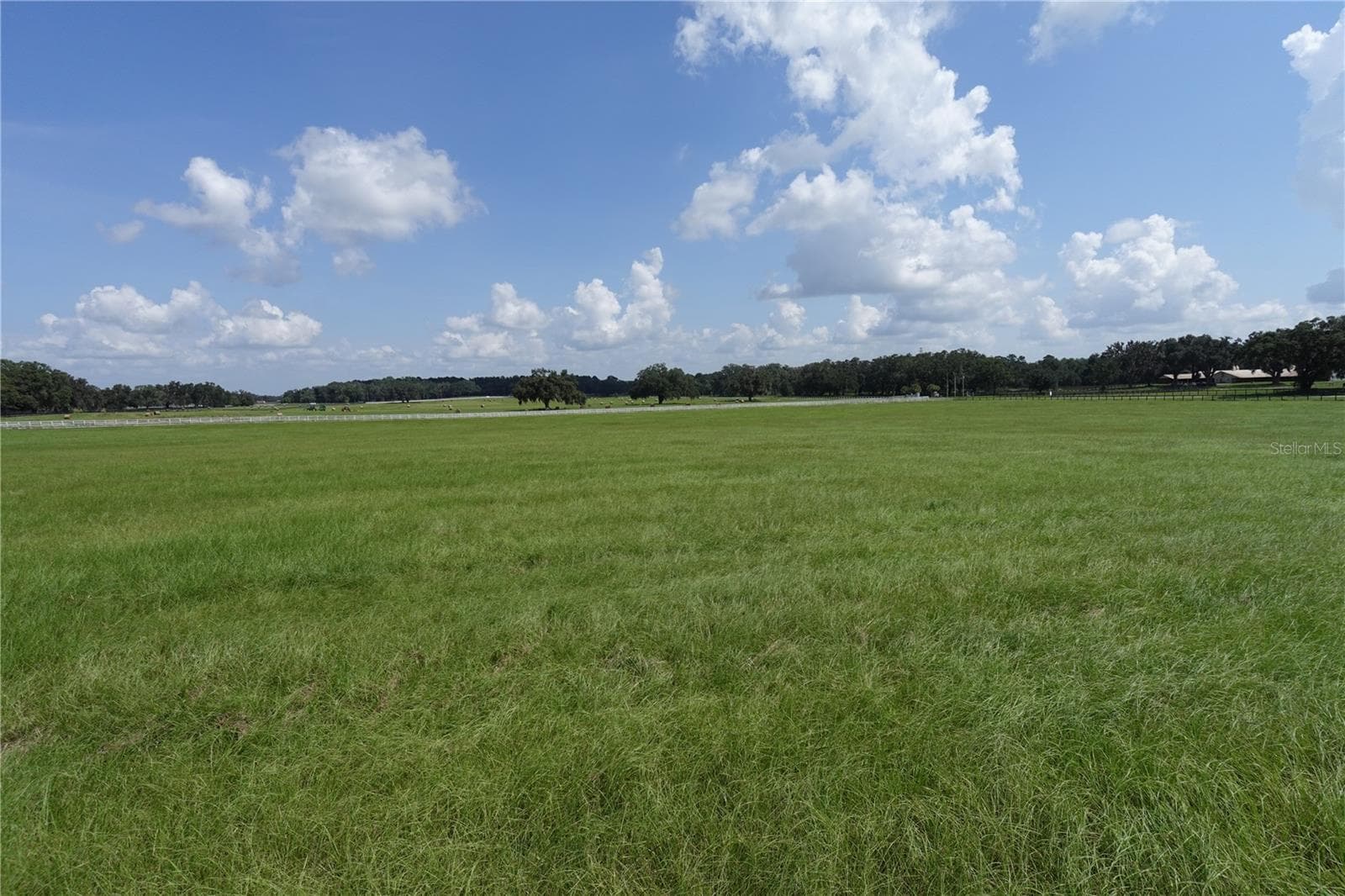 Land at 12750 W HIGHWAY 40 W, OCALA, photo 9 of 9