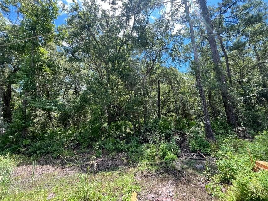 Land at tbd FRANKLIN DR, CRAWFORDVILLE, photo 7 of 11
