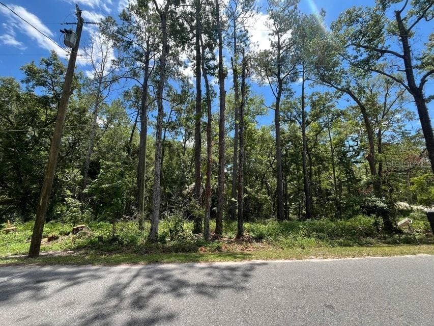 Land at tbd FRANKLIN DR, CRAWFORDVILLE, photo 8 of 11