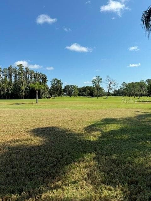 AMAZING VIEW from back patio - side of building. Impressive, beautifully manicured. - 3444 TROPHY BLVD, NEW PORT RICHEY