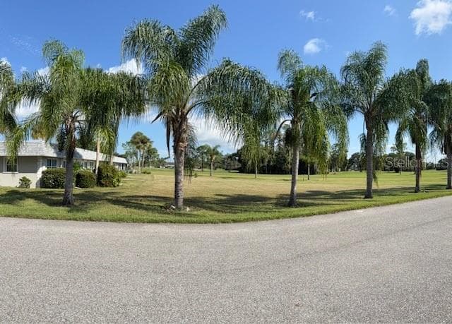Front Yard View is impressive! - 3444 TROPHY BLVD, NEW PORT RICHEY
