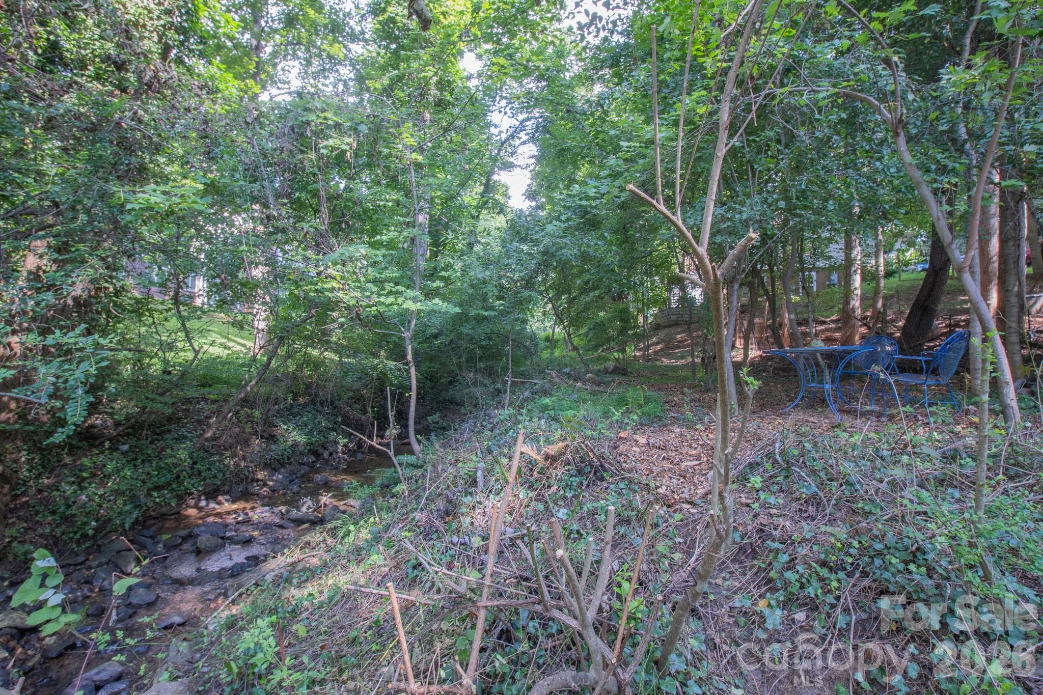 Creekfront lot between 2 parks - 99999 Rumbough Place, Asheville