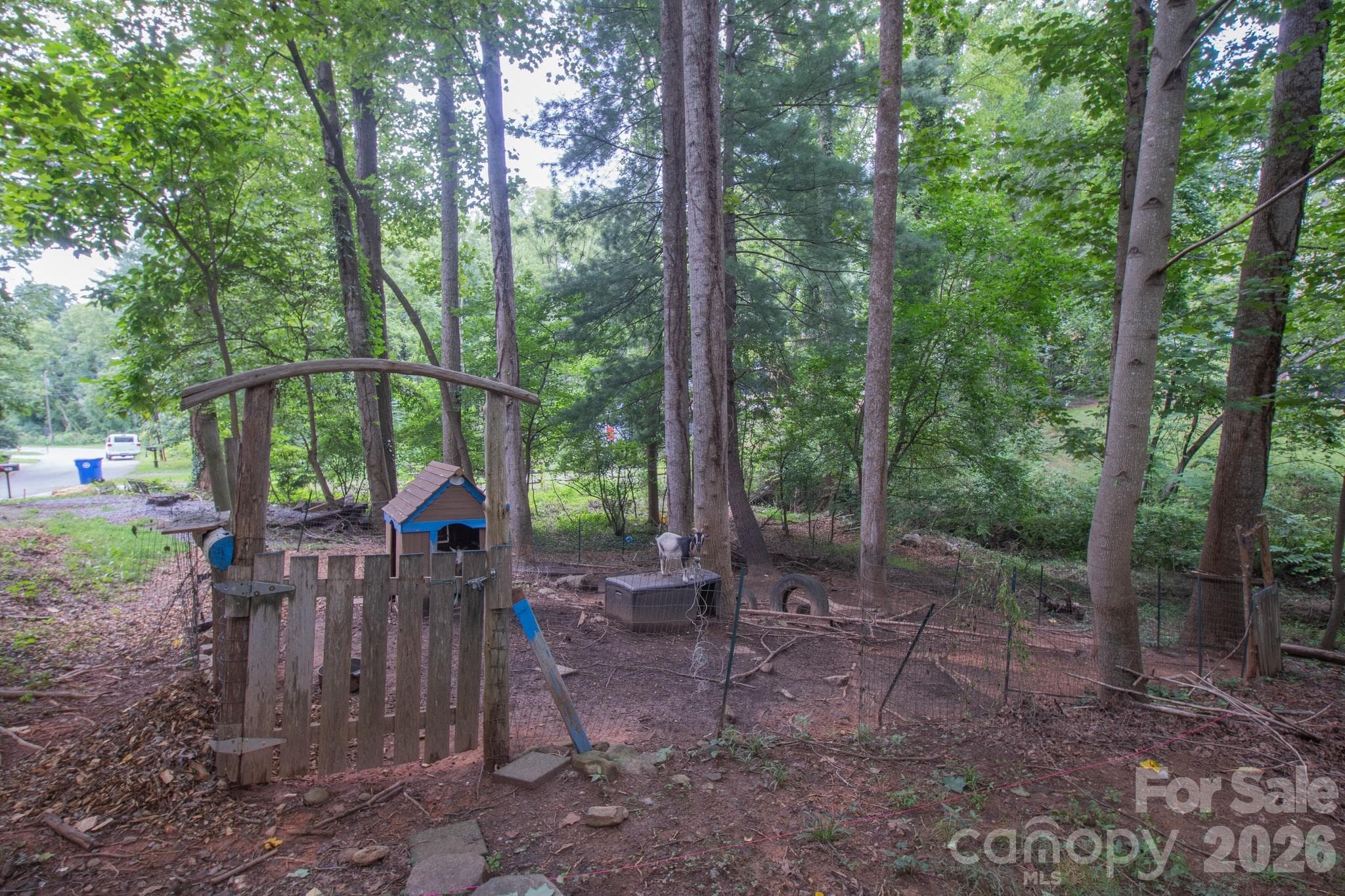 Goats and fencing not included with the land. - 99999 Rumbough Place, Asheville