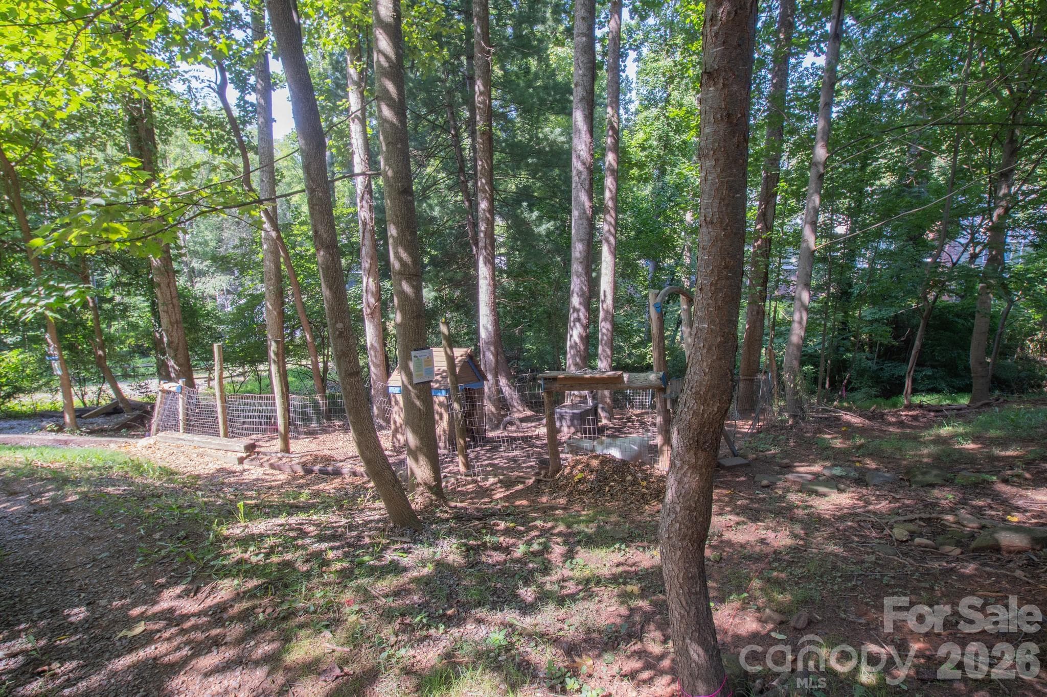 Goats, fencing and shed not included with the land. :) - 99999 Rumbough Place, Asheville