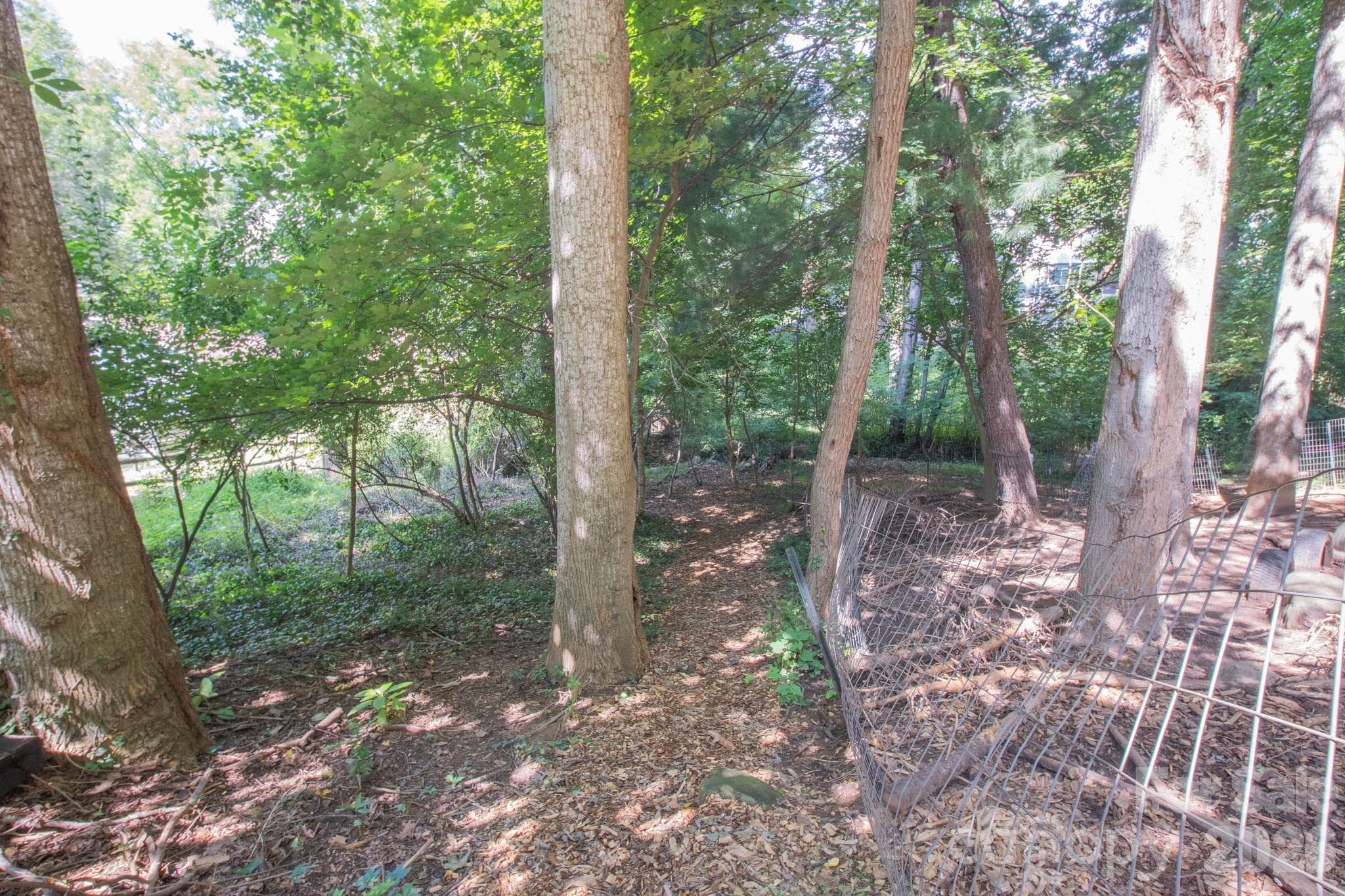Path from the parking area to the creek. - 99999 Rumbough Place, Asheville