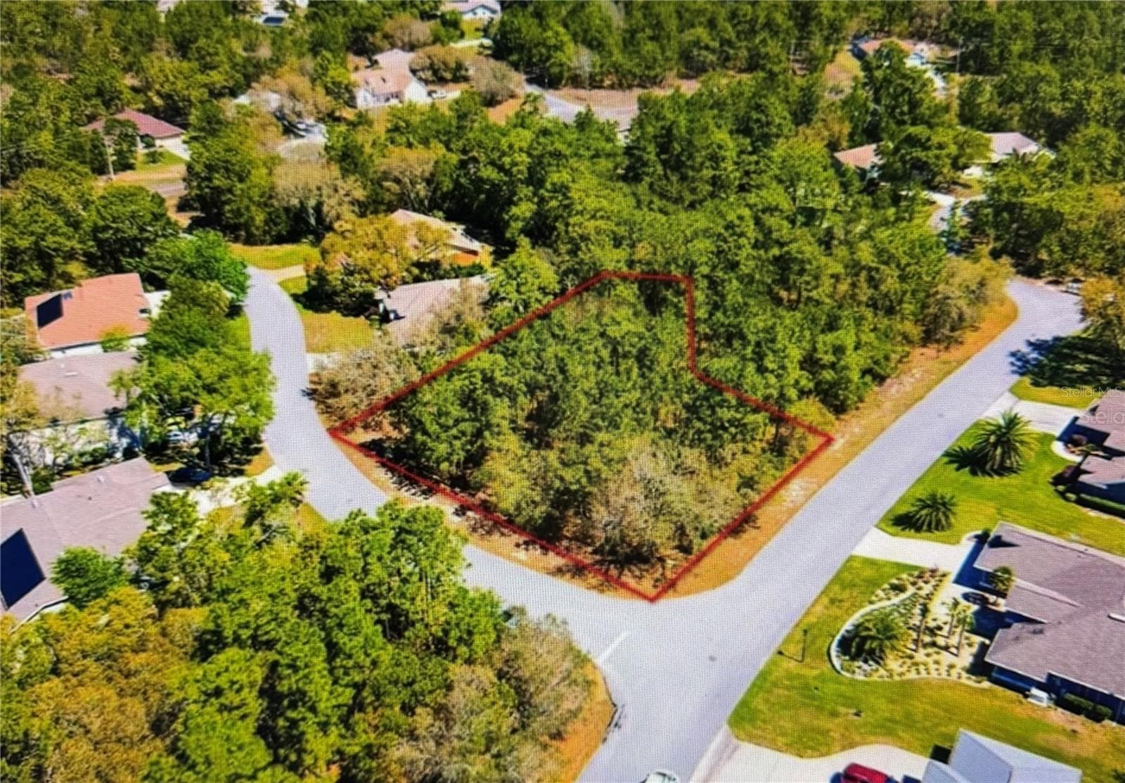 Land at 10 BONNIE DR, HOMOSASSA, photo 3 of 4