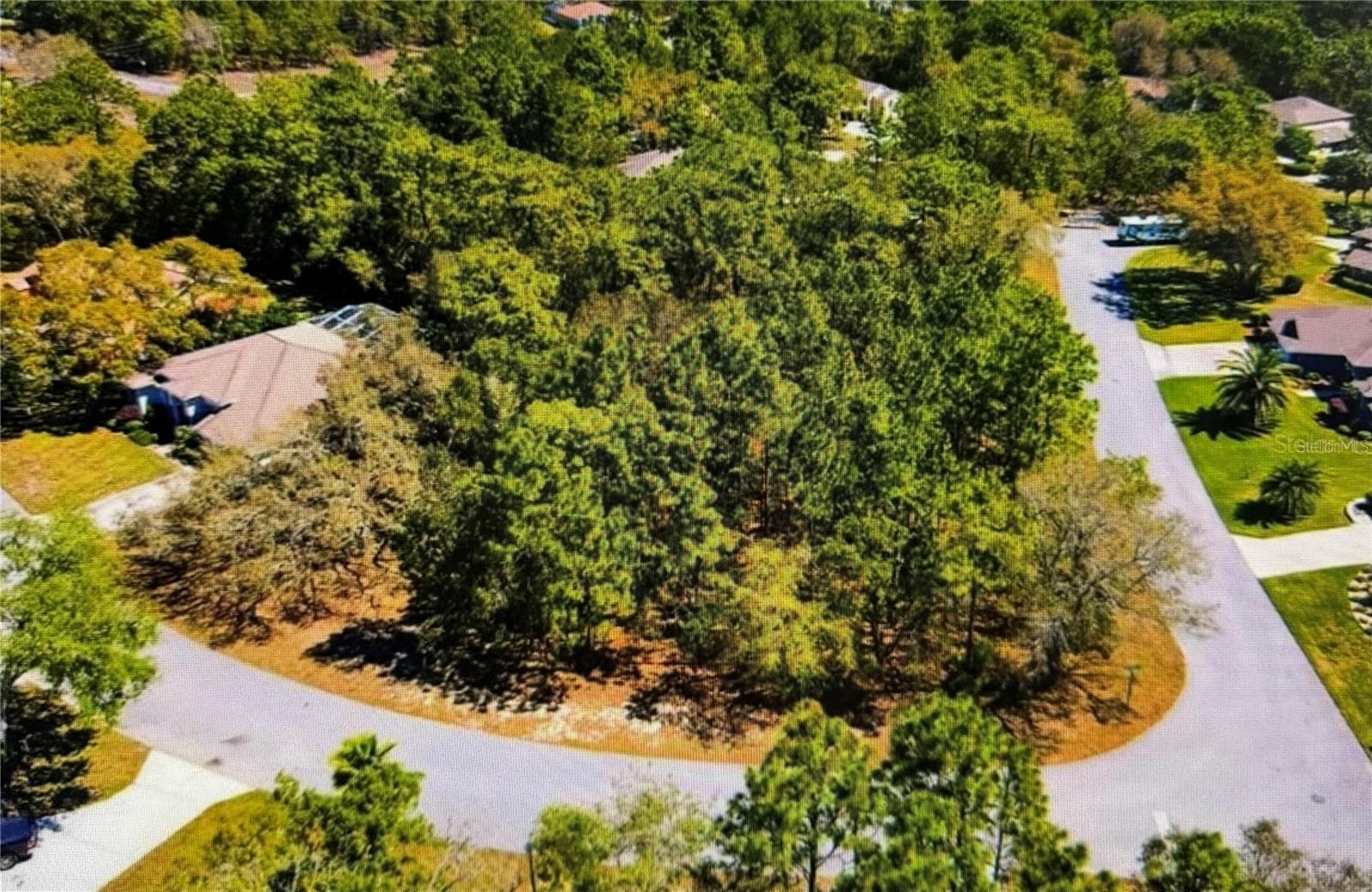 Land at 10 BONNIE DR, HOMOSASSA, photo 4 of 4