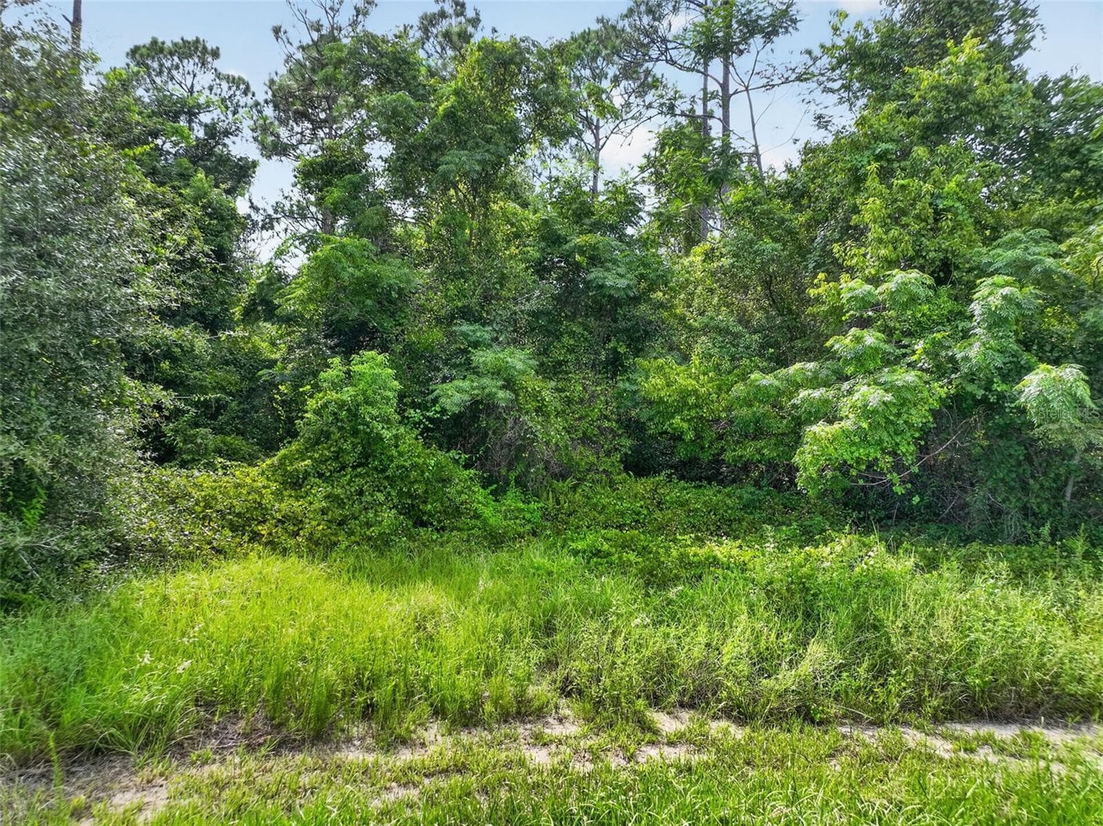 Land at DUDLEY AVE, MOUNT DORA, photo 16 of 16