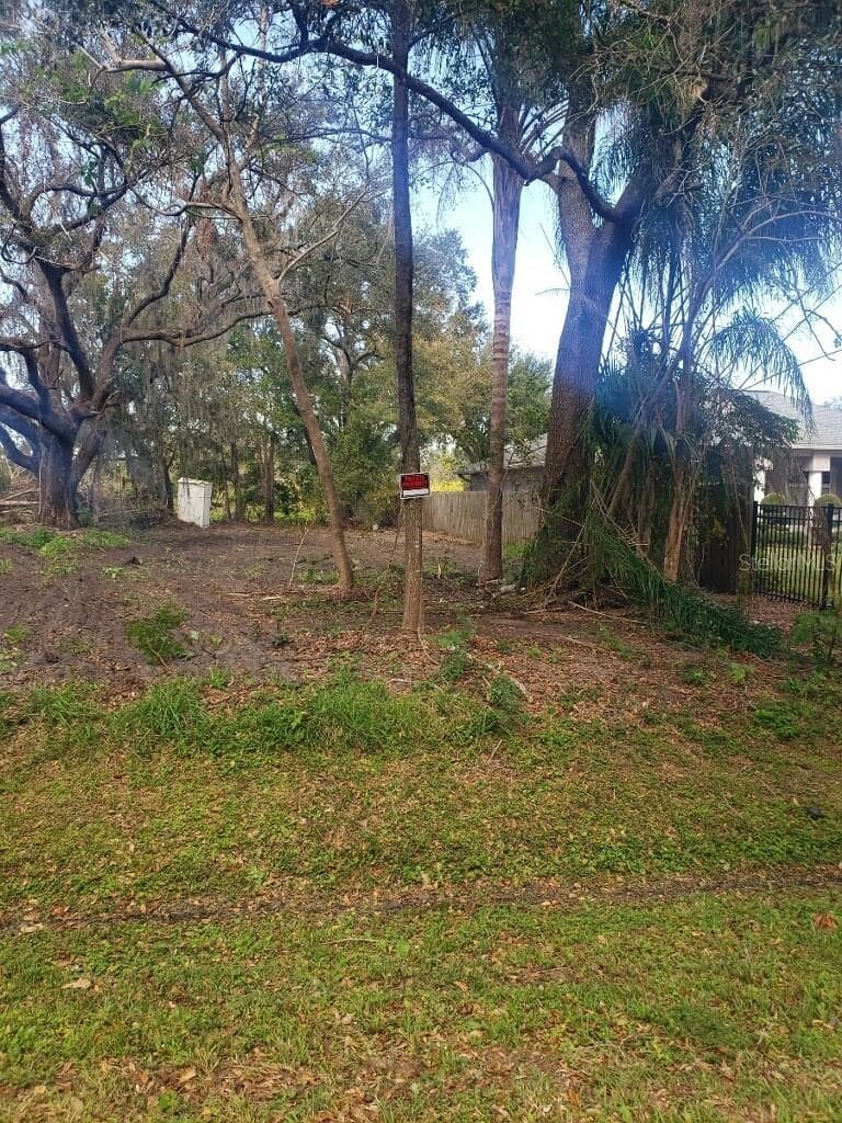 Lot view - 4217 W JACKSON ST, ORLANDO