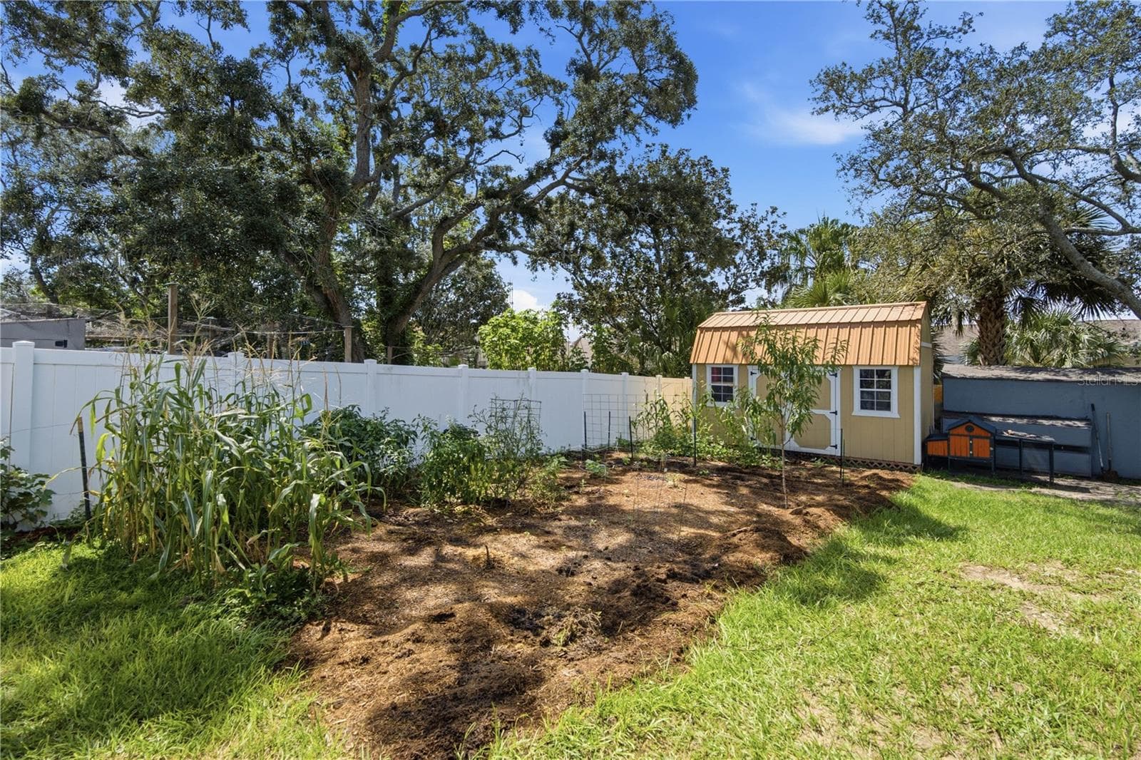 backyard - 11423 LINDEN DR, SPRING HILL