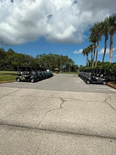 Carts are ready for you! - 3444 TROPHY BLVD, NEW PORT RICHEY
