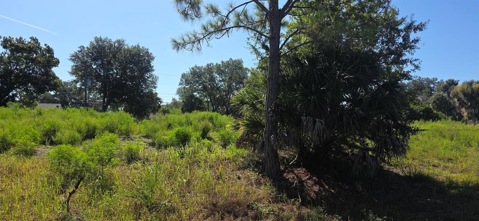 Land at CHAMRADE RD, NORTH PORT, photo 4 of 23